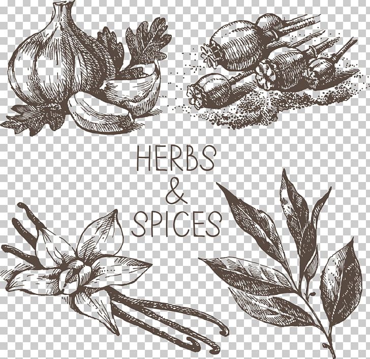 Drawing PNG, Clipart, Aromatic Herbs, Artwork, Black And White, Float, Floating Free PNG Download
