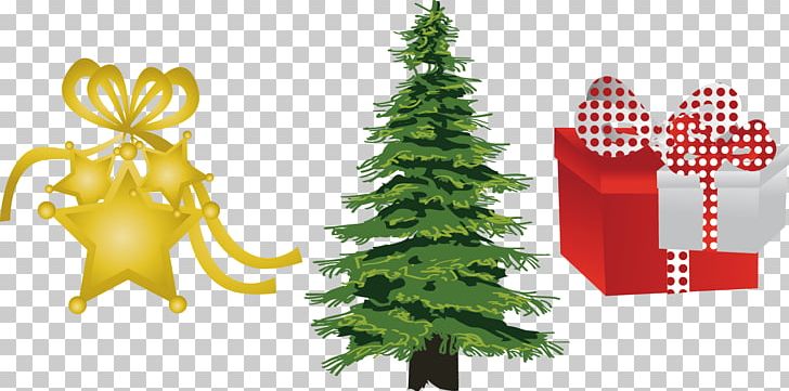 Ilex Crenata Evergreen Tree Pine PNG, Clipart, Christmas Border, Christmas Decoration, Christmas Frame, Christmas Lights, Christmas Ornament Free PNG Download