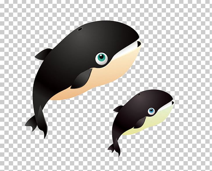 Shark Right Whales Euclidean PNG, Clipart, Animal, Animals, Beak, Bird, Blue Whale Free PNG Download