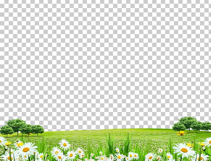 Computer File PNG, Clipart, Bit, Computer Wallpaper, Decorative Patterns, Design, Desktop Wallpaper Free PNG Download