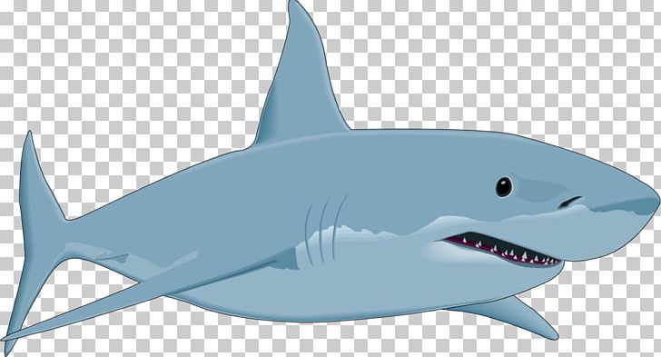 Great White Shark Drawing PNG, Clipart, Animals, Bull Shark, Cartilaginous Fish, Cartoon, Drawing Free PNG Download