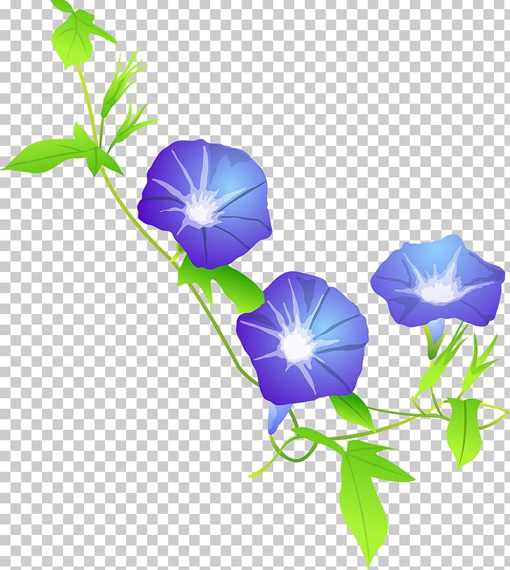 Ipomoea Nil Vine Flower Red PNG, Clipart, Annual Plant, Beach Moonflower, Blue, Element, Flora Free PNG Download