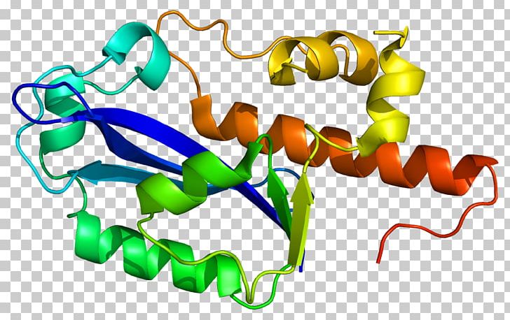 ISG20 Protein RecBCD Gene Interferon PNG, Clipart, Body Jewelry, Dna, Exonuclease, Gene, Helicase Free PNG Download