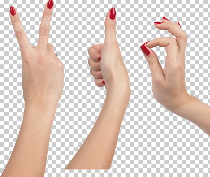 Upper Limb Hand Finger Nail PNG, Clipart, Arm, Depositfiles, Digit, Digital Image, Finger Free PNG Download