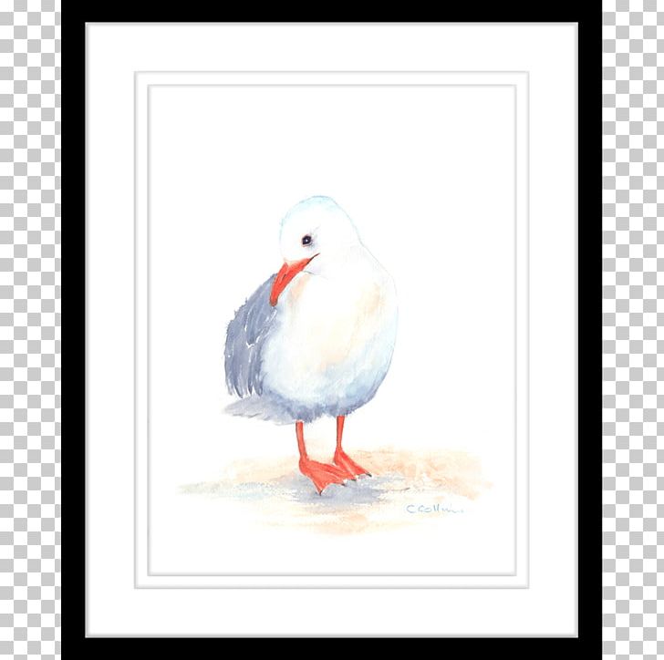 Water Bird Gulls Seabird Goose PNG, Clipart, Anatidae, Animal, Animals, Beak, Bird Free PNG Download