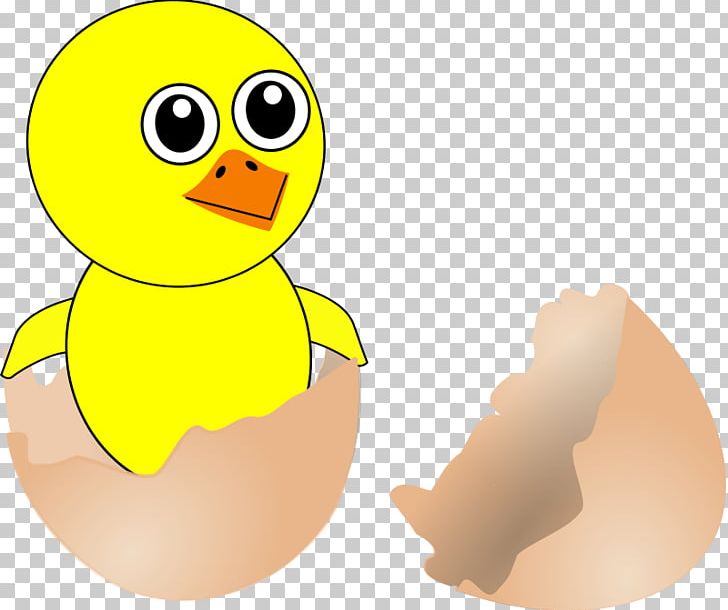 Chicken Fried Egg Kifaranga PNG, Clipart, Beak, Bird, Born Cliparts, Cartoon, Chicken Free PNG Download