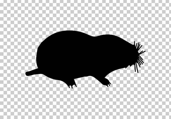 European Mole Computer Icons Mammal PNG, Clipart, Animal, Beaver, Black And White, Carnivoran, Computer Icons Free PNG Download