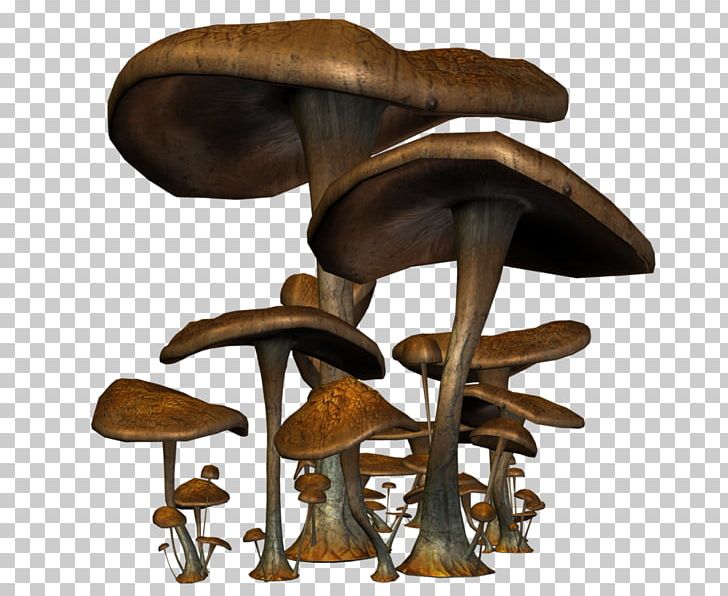 Mushroom Fungus Drawing PNG, Clipart, Brown, Cartoon, Computer Icons, Drawing, Edible Mushroom Free PNG Download
