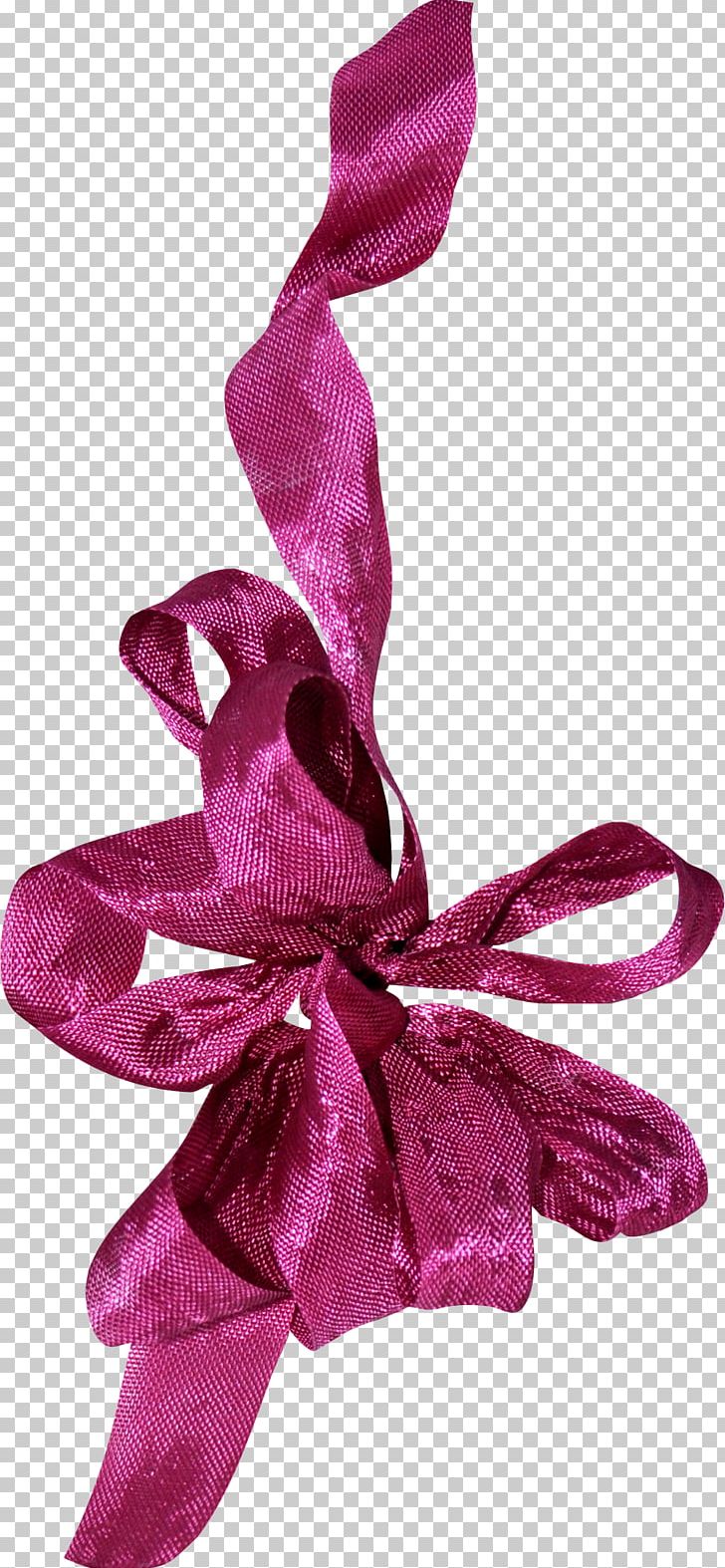 Ribbon Silk PNG, Clipart, Albom, Art, Clothing Accessories, Cut Flowers, Designer Free PNG Download
