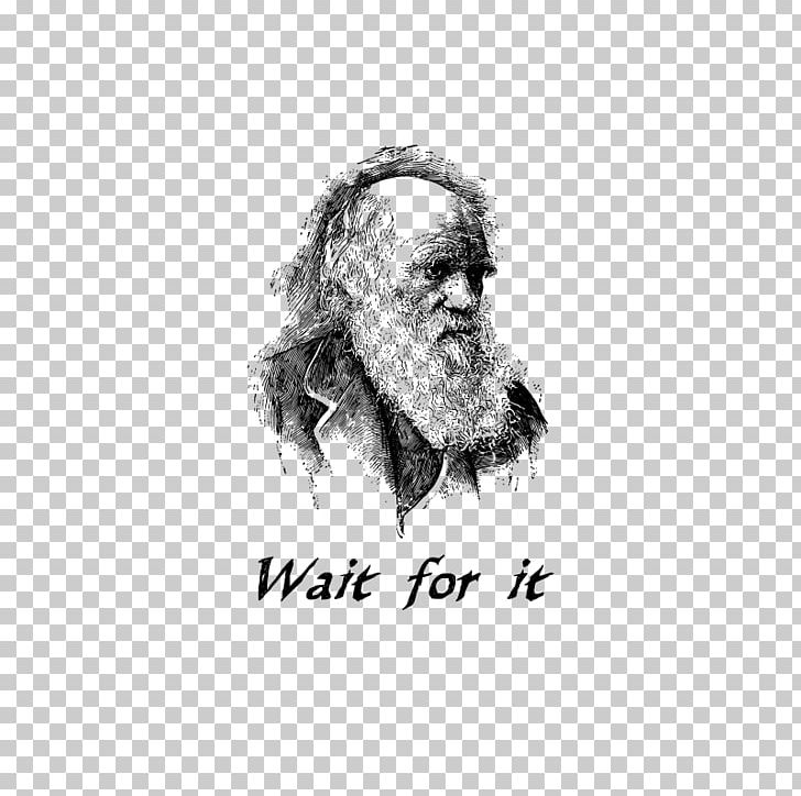 The Voyage Of The Beagle Evolutionary Medicine Adaptation Doctor Darwin PNG, Clipart, Abiogenesis, Adaptation, Alfred Russel Wallace, Artwork, Evolution Free PNG Download