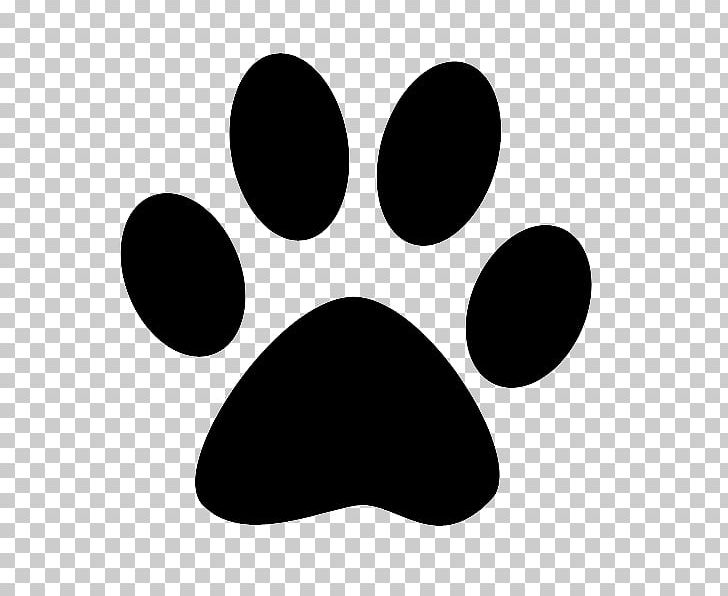 Akita Paw Siberian Husky Cat Pet PNG, Clipart, Akita, Animals, Black, Black And White, Cat Free PNG Download