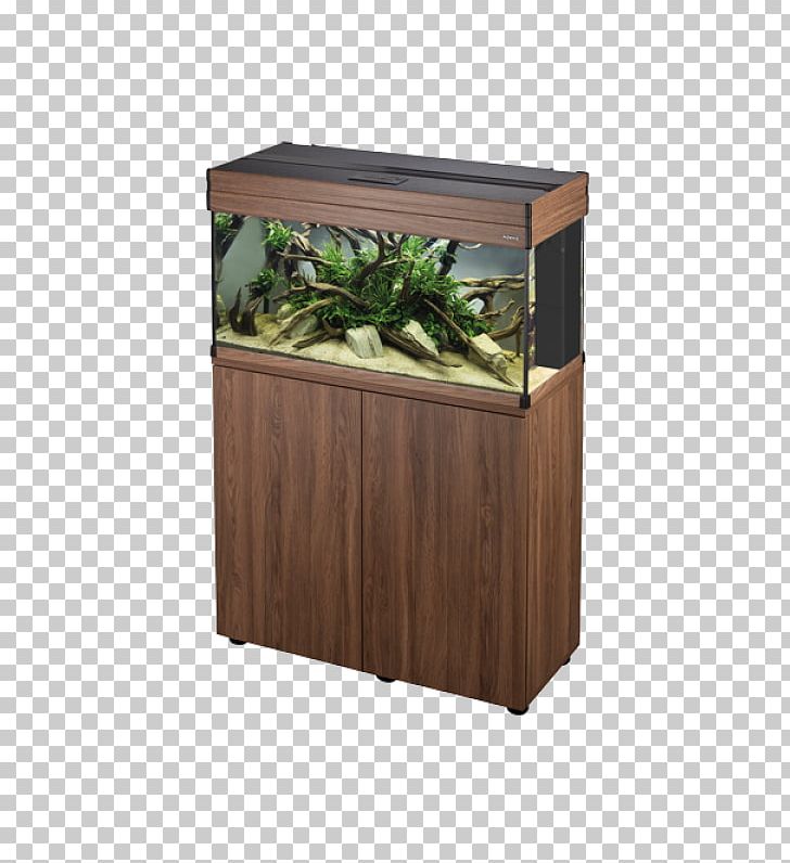 Aquarium Fishkeeping Price Oak PNG, Clipart, Aquarium, Artikel, Bogwood, Fish, Fishkeeping Free PNG Download