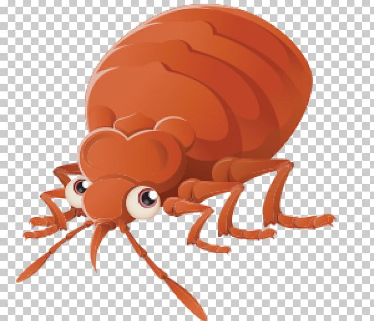 Bed Bug Control Techniques Cockroach Bed Bug Bite Pest Control PNG, Clipart, Animals, Arthropod, Bed, Bed Bug, Bed Bug Bite Free PNG Download