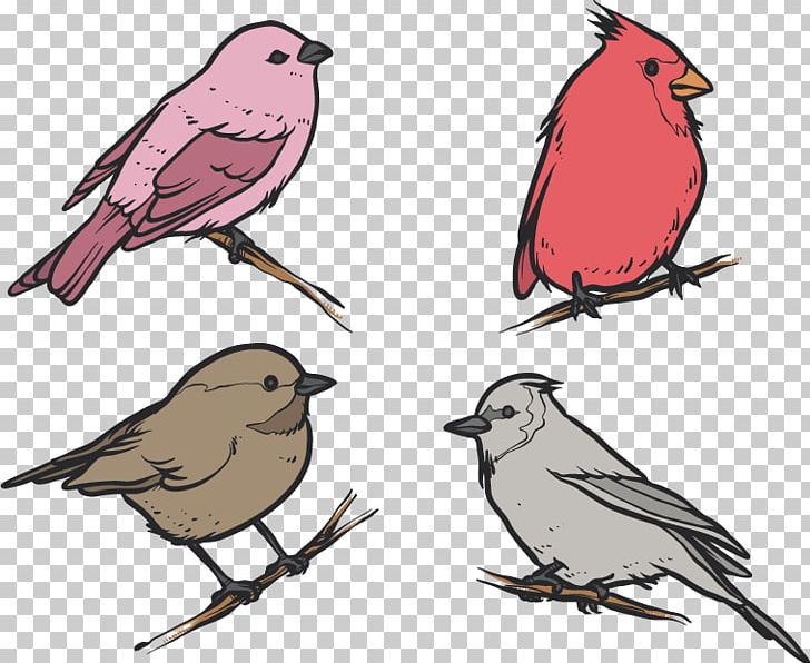 Bird House Sparrow Drawing PNG, Clipart, Animals, Artwork, Beak, Bird, Bird Cage Free PNG Download