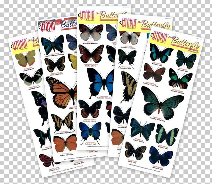 Butterfly Sticker Color Wall Decal Internet Coupon PNG, Clipart, Blue, Butterfly, Color, Eye, Eye Color Free PNG Download