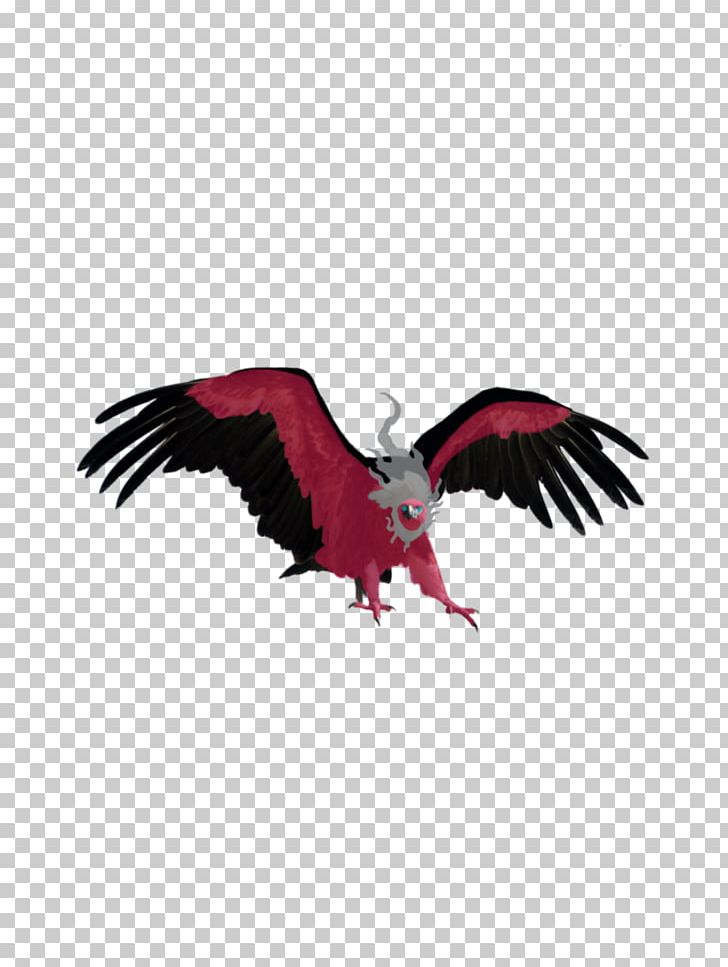 Eagle Vulture Bird PNG, Clipart, Animals, Animation, Bald Eagle, Beak, Bird Free PNG Download