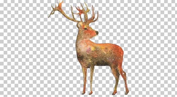 Reindeer Multiple Exposure PNG, Clipart, Animals, Antler, Deer, Elk, Layers Free PNG Download
