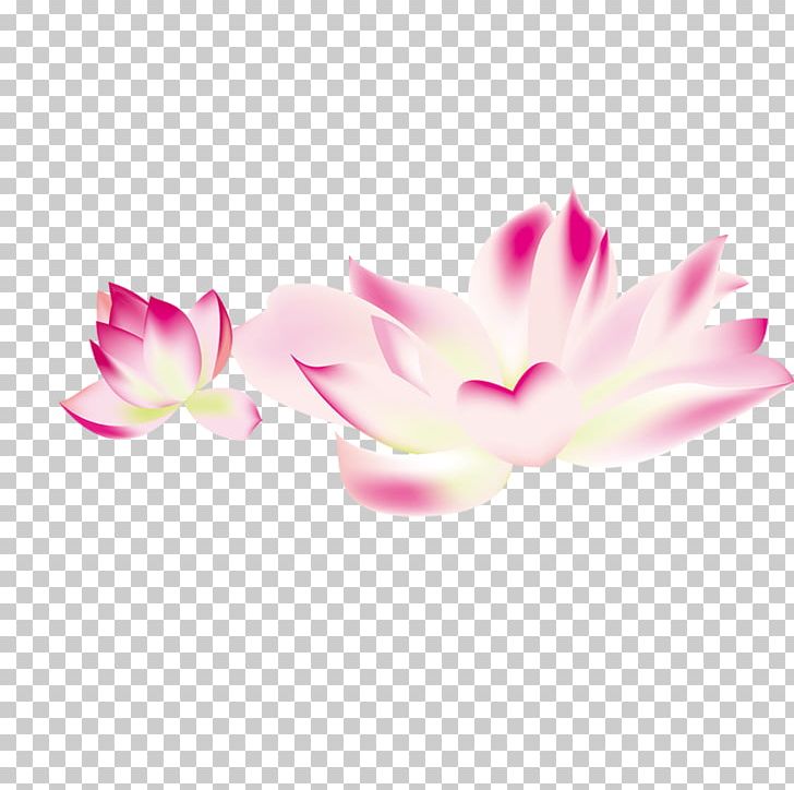 Flower PNG, Clipart, Blossom, Dow, Flower, Flowering Plant, Flowers Free PNG Download