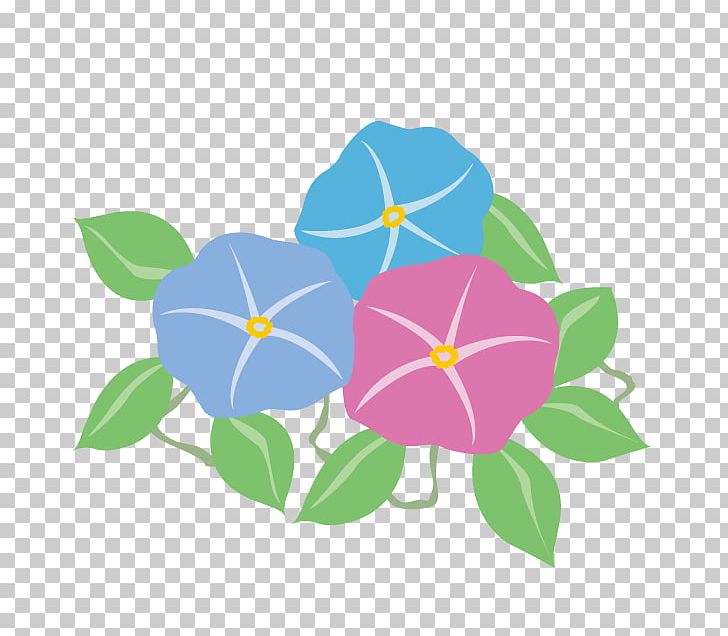 Tokushima Shiritsu Nyuta Junior High School Japanese Morning Glory Illustration Summer Flower PNG, Clipart, Book Illustration, Child, Flora, Floral Design, Flower Free PNG Download