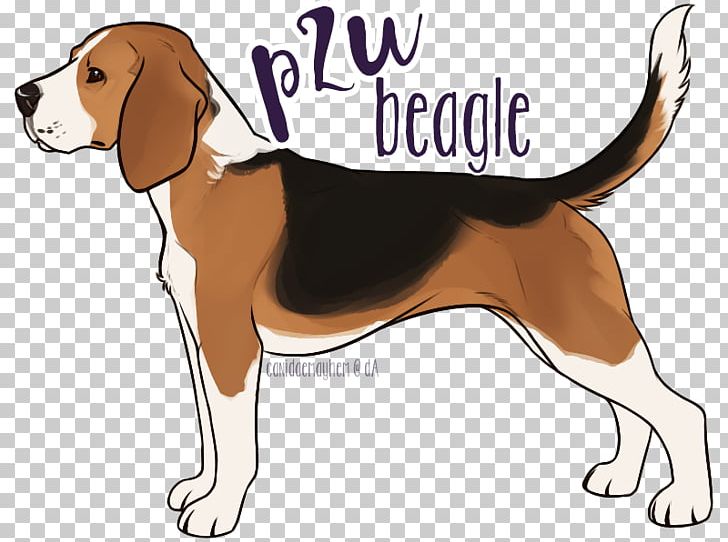 Treeing Walker Coonhound Beagle English Foxhound Harrier American Foxhound PNG, Clipart, American Foxhound, Beagle, Black And Tan Coonhound, Carnivoran, Companion Dog Free PNG Download