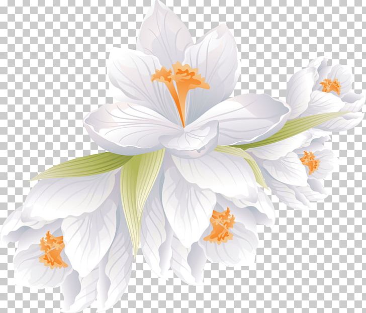 Flower Bouquet Portable Network Graphics Floral Design PNG, Clipart, Art, Common Daisy, Crocus, Cut Flowers, Drawing Free PNG Download