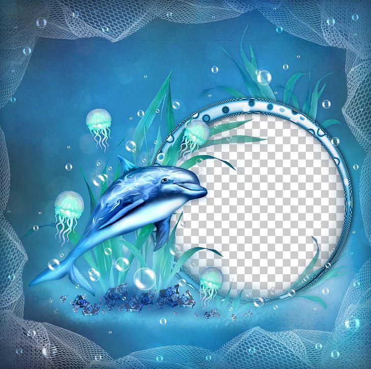 Frames Dolphin Sea PNG, Clipart, Aqua, Azure, Blue, Cetacea, Cg Artwork Free PNG Download
