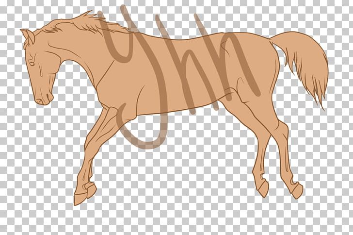 Mane Foal Pony Stallion Mustang PNG, Clipart, Bridle, Character, Colt, Edgar Dale, Fauna Free PNG Download