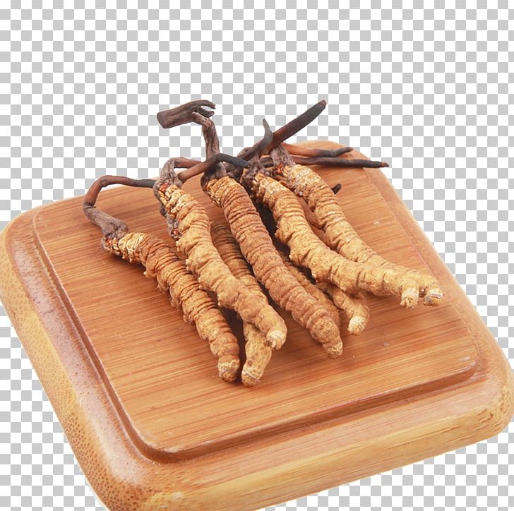 Yushu Tibetan Autonomous Prefecture Caterpillar Fungus Traditional Chinese Medicine Cordyceps PNG, Clipart, All Natural, Animal Sauvage, Animal Source Foods, Aromatic Herbs, Authentic Free PNG Download