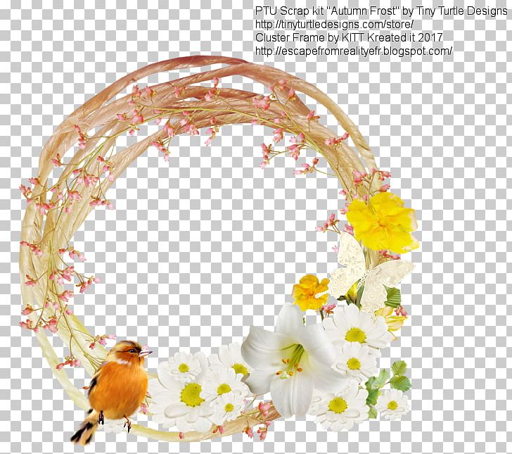 Floral Design Turtle Blog Reality PNG, Clipart, Blog, Floral Design, Flower, Reality, Reality Television Free PNG Download