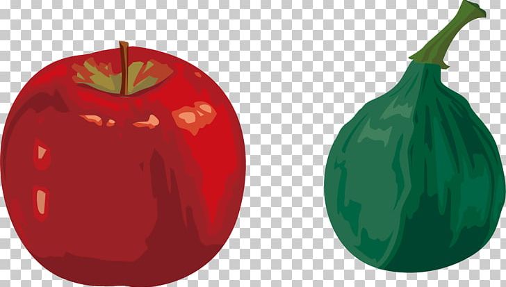 Apple Fruit Euclidean PNG, Clipart, Apple, Apple Fruit, Apple Vector, Auglis, Christmas Ornament Free PNG Download