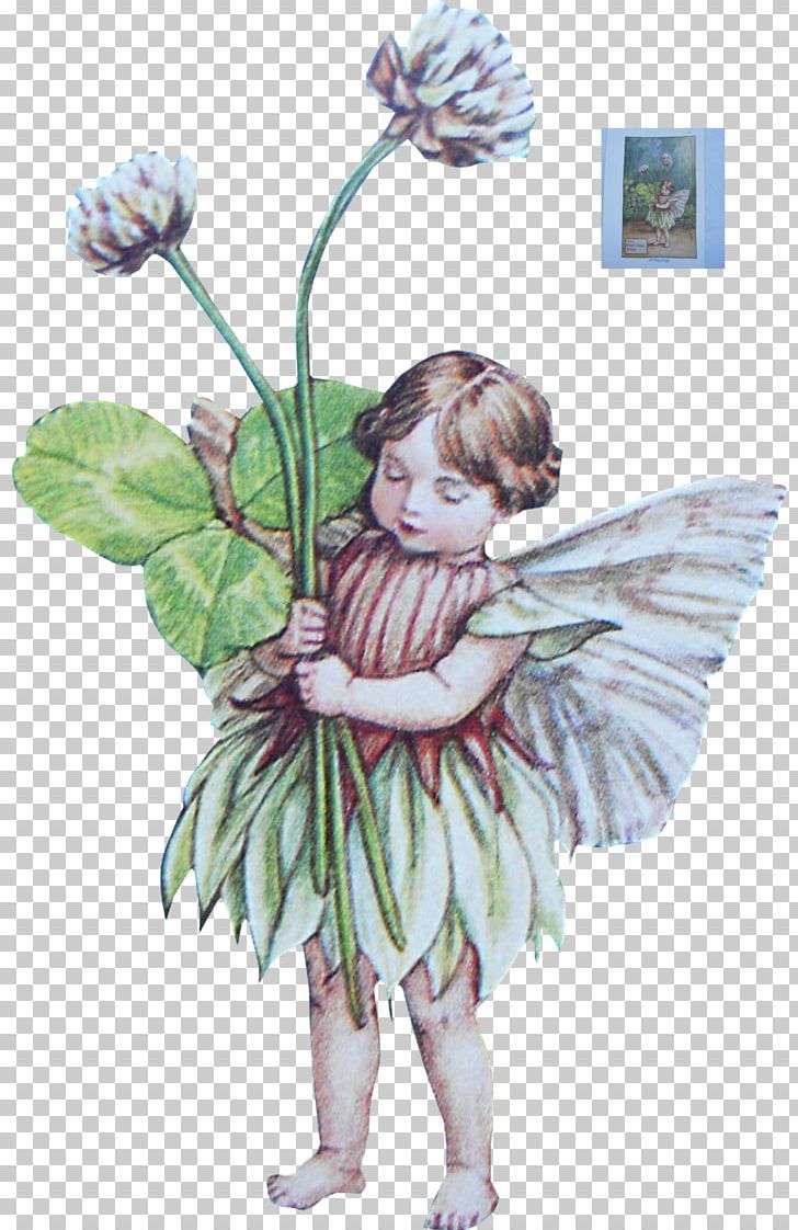 Fairy Flower Fairies Of The Summer Duende Elf PNG, Clipart, Animation, Avalon, Cicely, Cicely Mary Barker, Costume Design Free PNG Download