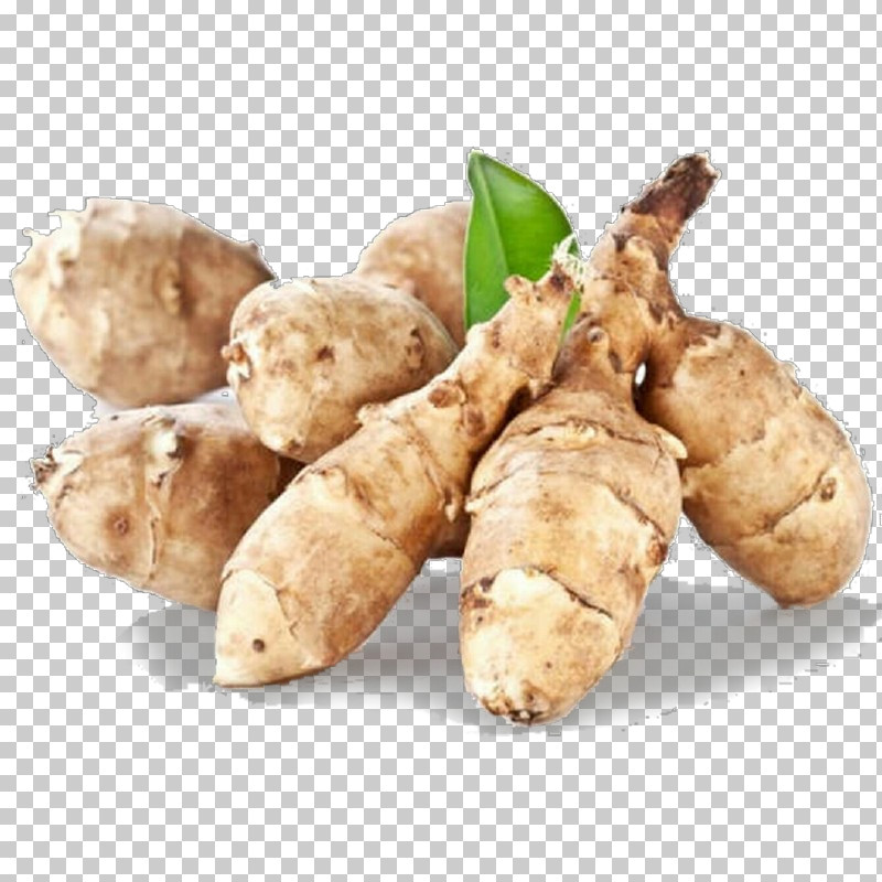 Tuber Zedoary Ginger Root Vegetable Jerusalem Artichoke PNG, Clipart, Food, Galangal, Ginger, Greater Galangal, Jerusalem Artichoke Free PNG Download