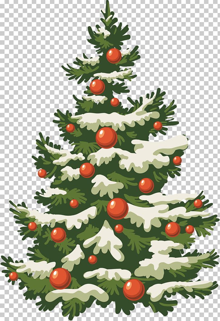 Christmas Tree PNG, Clipart, Branch, Christmas, Christmas Decoration, Christmas Ornament, Christmas Tree Free PNG Download