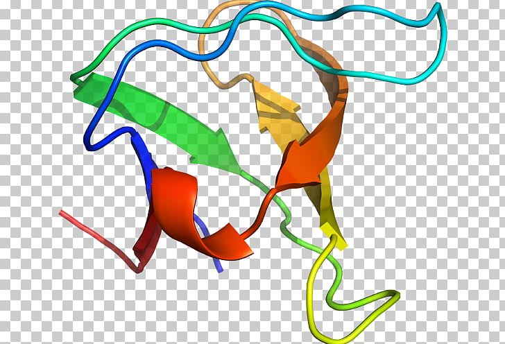 Leaf Line PNG, Clipart, Actinbinding Protein, Area, Artwork, Leaf, Line Free PNG Download