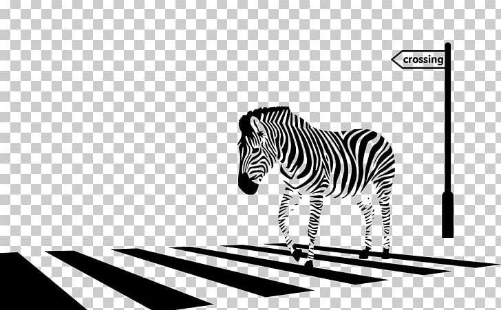 Zebra Crossing Drawing PNG, Clipart, Animals, Art, Big Cats, Black, Black And White Free PNG Download