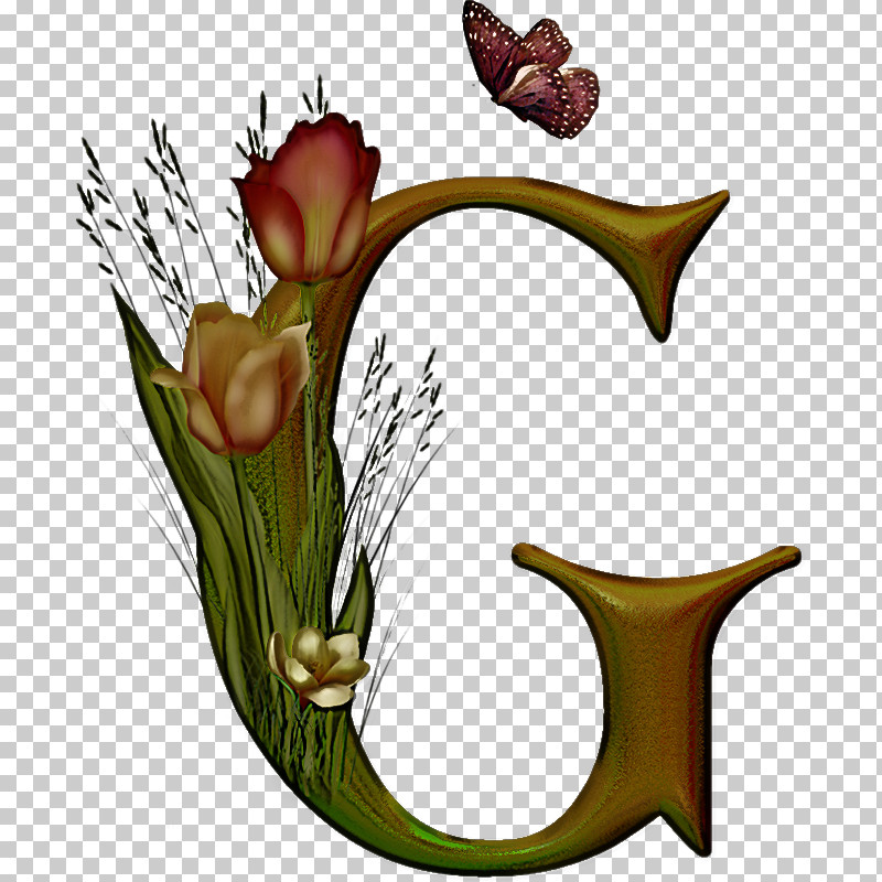 Plant Flower Carnivorous Plant Nepenthes PNG, Clipart, Carnivorous Plant, Flower, Nepenthes, Plant Free PNG Download