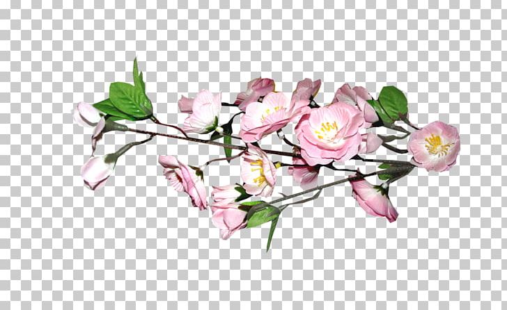 Floral Design Cherry Blossom PNG, Clipart, Artificial Flower, Blossom, Blossoms, Branch, Cherry Free PNG Download