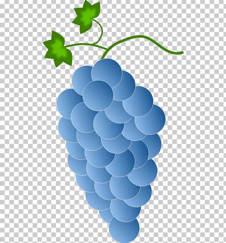 Concord Grape Wine Kyoho PNG, Clipart, Circle, Common Grape Vine, Computer Icons, Concord Grape, Flowering Plant Free PNG Download