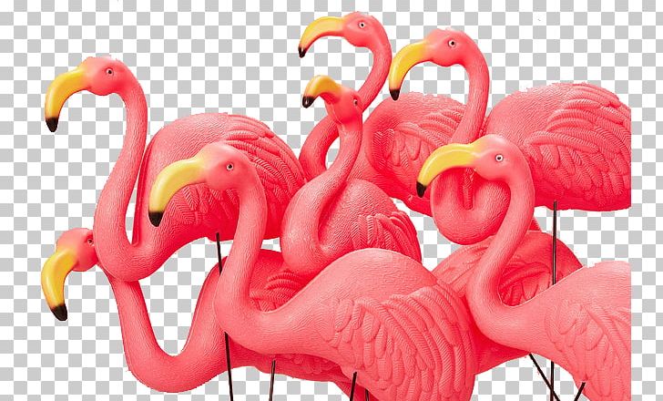 Greater Flamingo Pink PNG, Clipart, Animal, Art, Bird, Crane Bird, Cranes Free PNG Download