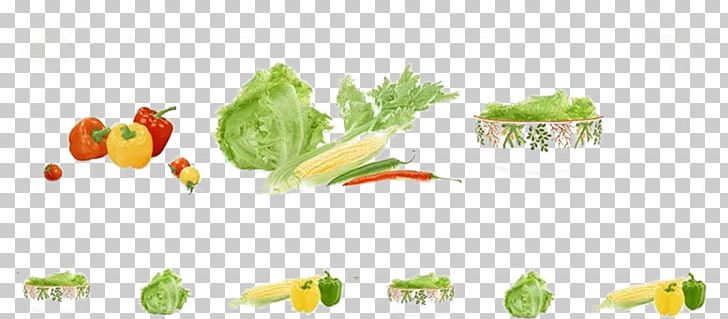 Vegetable Bell Pepper Tomato Food PNG, Clipart, Cabbage, Chinese, Chinese Cabbage, Computer Wallpaper, Corn Free PNG Download