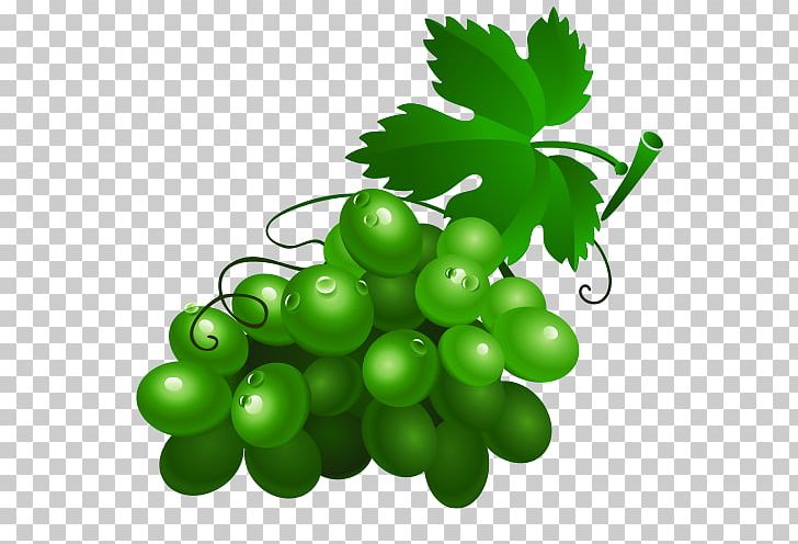 Wine Grape Drawing Fruit PNG, Clipart, Balloon Cartoon, Boy Cartoon, Cartoon Character, Cartoon Cloud, Cartoon Couple Free PNG Download