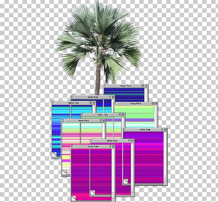 Arecaceae Tree Rendering PNG, Clipart, Architectural Rendering, Architecture, Arecaceae, Arecales, Conifers Free PNG Download