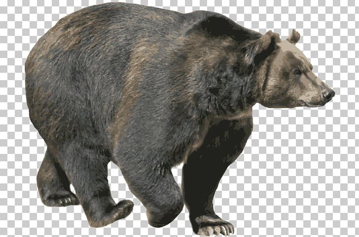 Brown Bear American Black Bear Grizzly Bear PNG, Clipart, Animals, Bear, Carnivoran, Computer Icons, Download Free PNG Download
