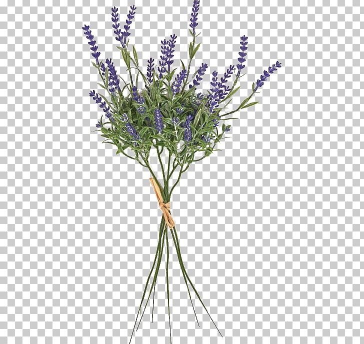 English Lavender French Lavender Cut Flowers Plant Stem Twig PNG, Clipart, Branch, Cut Flowers, English Lavender, Flower, Flowering Plant Free PNG Download