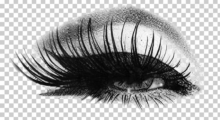 Eyelash Extensions Lush Cosmetics Artificial Hair Integrations PNG, Clipart, Beauty, Black And White, Closeup, Cosmetics, Eye Free PNG Download