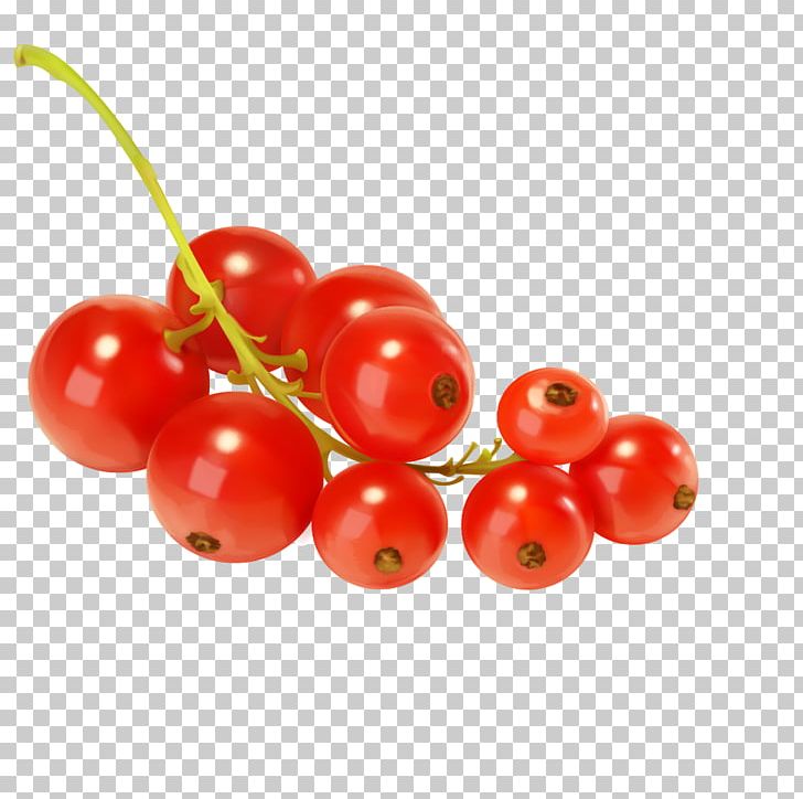 Redcurrant Blackcurrant Frutti Di Bosco Zante Currant PNG, Clipart, Berry, Blueberry, Bunch, Cherry, Cranberry Free PNG Download