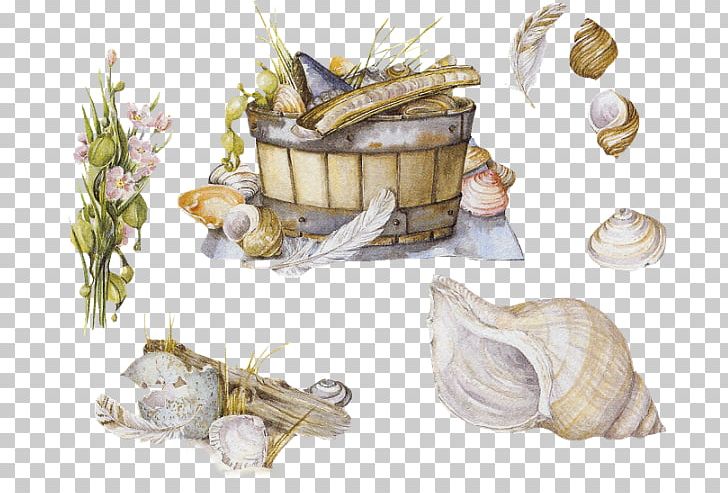Seashell Molluscs Mollusc Shell Cuisine Shellfish PNG, Clipart, Animals, Blingee, Brioche, Carapace, Clams Oysters Mussels And Scallops Free PNG Download