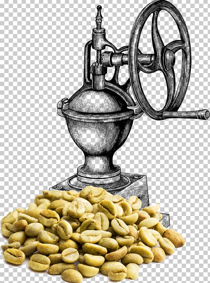 Coffee Bean Green Coffee Extract Kaffa Province Coffee Roasting PNG, Clipart, Burr Mill, Caffeine, Chlorogenic Acid, Coffee, Coffee Bean Free PNG Download