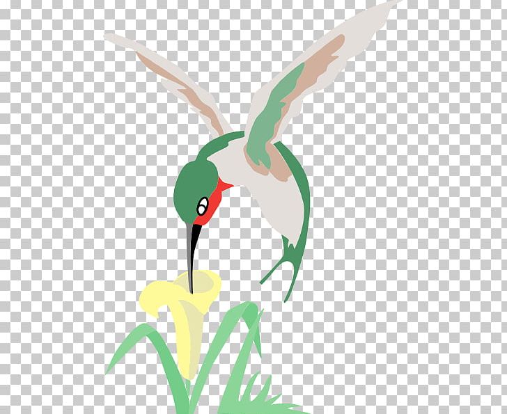 Hummingbird Flower Drawing PNG, Clipart, Art, Beak, Bird, Blog, Chicken Free PNG Download
