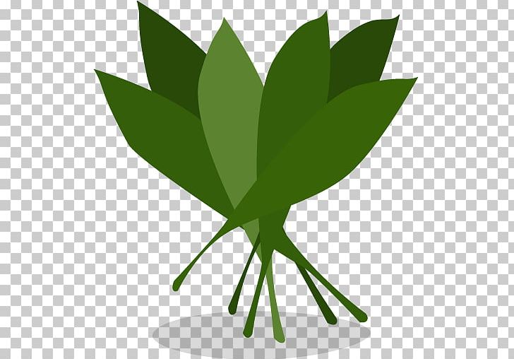 Plant Leaf Tree Font PNG, Clipart, Computer Icons, Desktop Environment, Download, Font, Food Free PNG Download